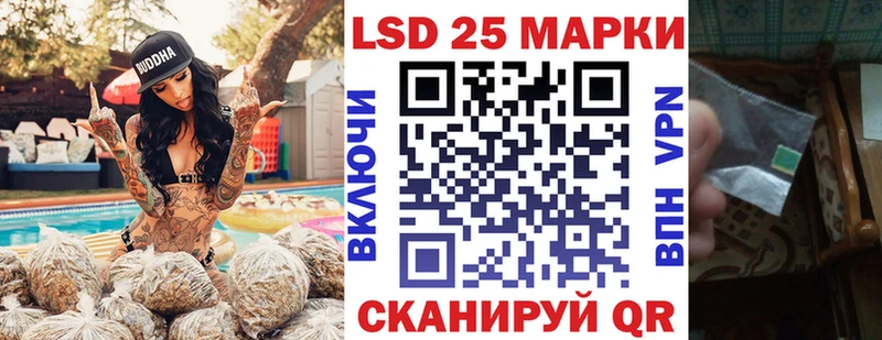 Марки N-bome 1,5мг  купить закладку  ссылка на мегу как войти  Мурманск 