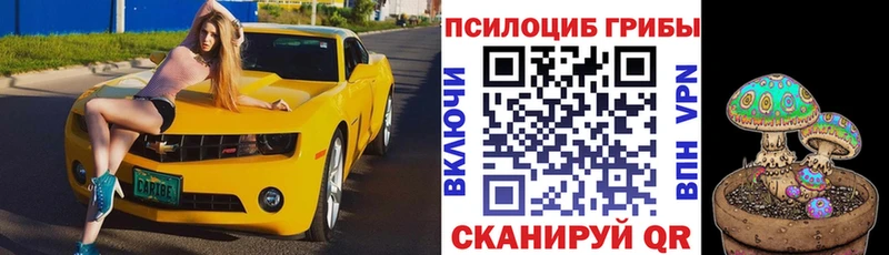 Псилоцибиновые грибы мицелий где найти Мурманск